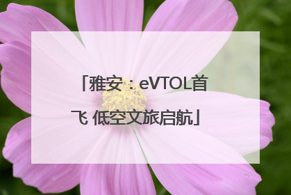 雅安：eVTOL首飞 低空文旅启航