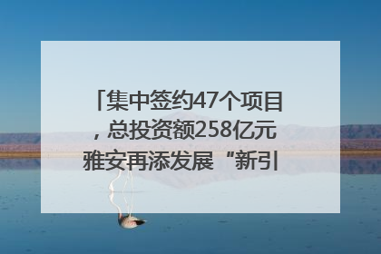 集中签约47个项目，总投资额258亿元 雅安再添发展“新引擎”｜数读西投