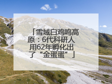 雪域白鸡鸣高原：6代科研人用62年孵化出了“金蛋蛋”
