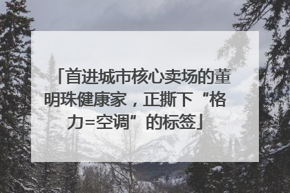 首进城市核心卖场的董明珠健康家，正撕下“格力=空调”的标签