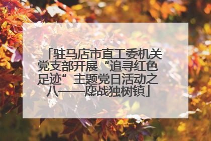 驻马店市直工委机关党支部开展“追寻红色足迹”主题党日活动之八——鏖战独树镇