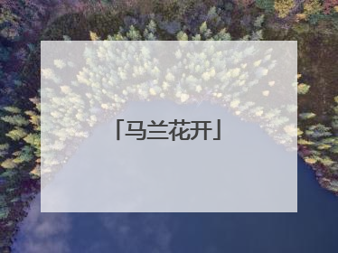 马兰花开