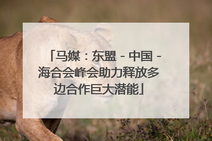 马媒：东盟－中国－海合会峰会助力释放多边合作巨大潜能