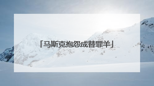 马斯克抱怨成替罪羊