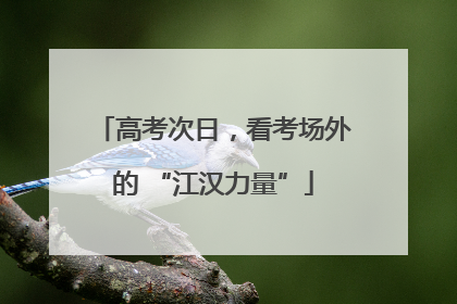 高考次日，看考场外的 “江汉力量”
