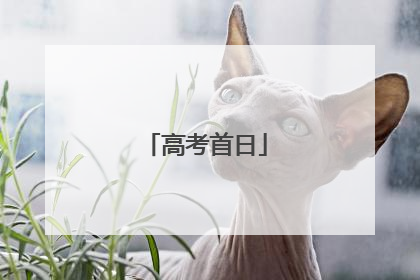 高考首日