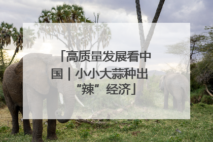 高质量发展看中国｜小小大蒜种出“辣”经济
