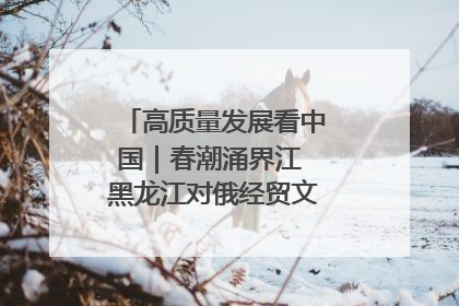 高质量发展看中国｜春潮涌界江 黑龙江对俄经贸文旅交流绿意盎然