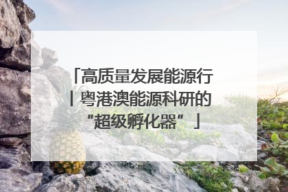 高质量发展能源行丨粤港澳能源科研的“超级孵化器”