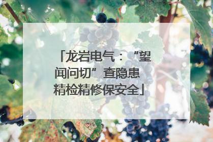龙岩电气：“望闻问切”查隐患 精检精修保安全