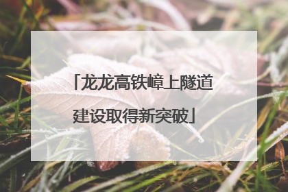 龙龙高铁嶂上隧道建设取得新突破