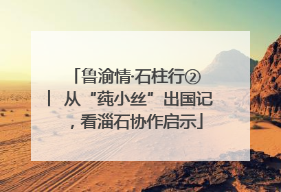鲁渝情·石柱行② ︳从“莼小丝”出国记，看淄石协作启示