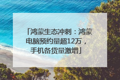 鸿蒙生态冲刺：鸿蒙电脑预约量超12万，手机备货量激增