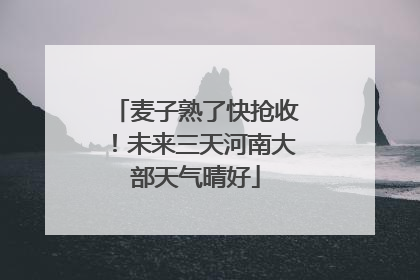麦子熟了快抢收！未来三天河南大部天气晴好
