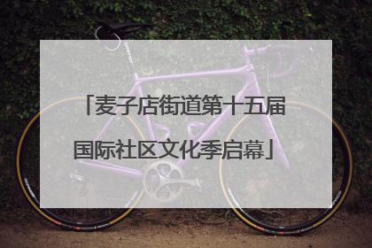 麦子店街道第十五届国际社区文化季启幕