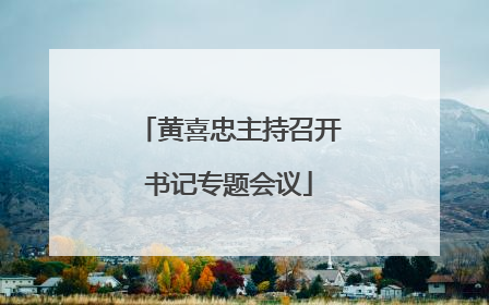 黄喜忠主持召开书记专题会议