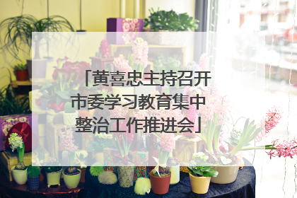 黄喜忠主持召开市委学习教育集中整治工作推进会
