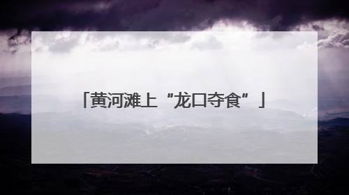 黄河滩上“龙口夺食”