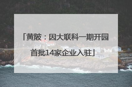 黄陂：因大联科一期开园 首批14家企业入驻