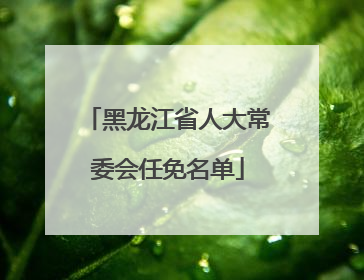黑龙江省人大常委会任免名单