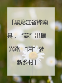 黑龙江省桦南县：“蒜”出振兴路 “园”梦新乡村