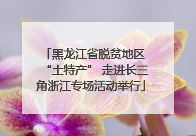 黑龙江省脱贫地区 “土特产” 走进长三角浙江专场活动举行