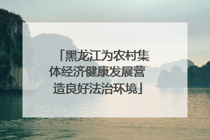 黑龙江为农村集体经济健康发展营造良好法治环境