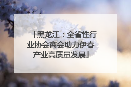 黑龙江：全省性行业协会商会助力伊春产业高质量发展