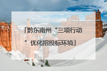 黔东南州“三项行动”优化招投标环境