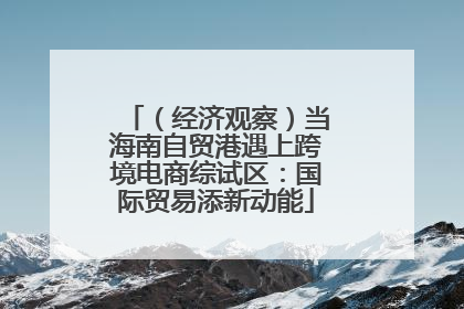 （经济观察）当海南自贸港遇上跨境电商综试区：国际贸易添新动能