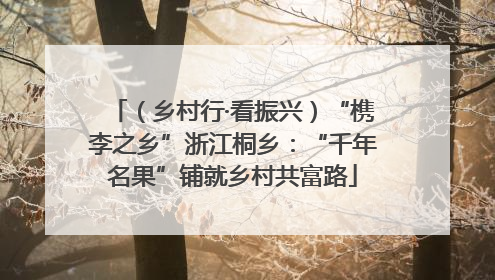 （乡村行·看振兴）“槜李之乡”浙江桐乡：“千年名果”铺就乡村共富路
