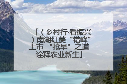 （乡村行·看振兴）南湖红菱“错峰”上市 “抢早”之道诠释农业新生