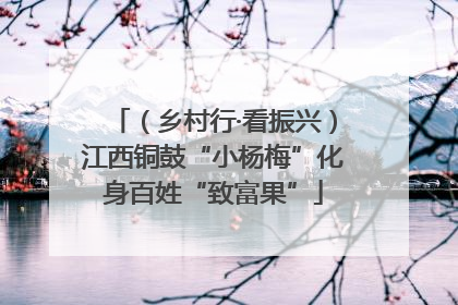 （乡村行·看振兴）江西铜鼓“小杨梅”化身百姓“致富果”