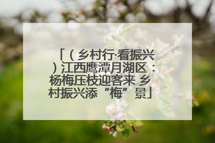 （乡村行·看振兴）江西鹰潭月湖区：杨梅压枝迎客来 乡村振兴添“梅”景