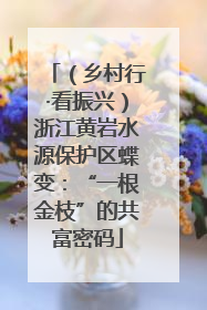（乡村行·看振兴）浙江黄岩水源保护区蝶变：“一根金枝”的共富密码