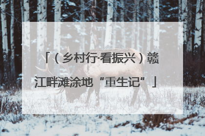 （乡村行·看振兴）赣江畔滩涂地“重生记”