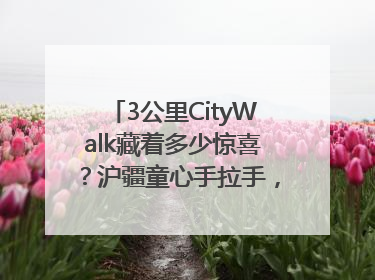 3公里CityWalk藏着多少惊喜？沪疆童心手拉手，“益起走”