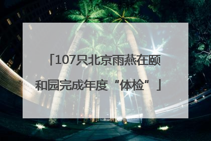 107只北京雨燕在颐和园完成年度“体检”