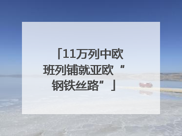 11万列中欧班列铺就亚欧“钢铁丝路”