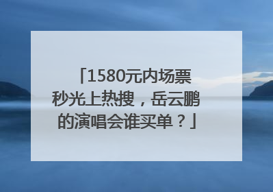 1580元内场票秒光上热搜，岳云鹏的演唱会谁买单？