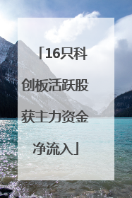 16只科创板活跃股获主力资金净流入