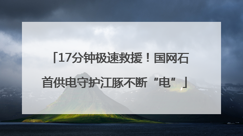 17分钟极速救援！国网石首供电守护江豚不断“电”