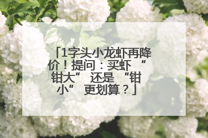 1字头小龙虾再降价！提问：买虾 “钳大” 还是 “钳小” 更划算？