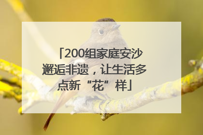 200组家庭安沙邂逅非遗，让生活多点新“花”样