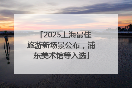 2025上海最佳旅游新场景公布，浦东美术馆等入选