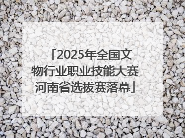 2025年全国文物行业职业技能大赛河南省选拔赛落幕