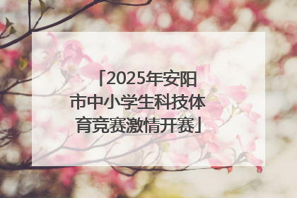 2025年安阳市中小学生科技体育竞赛激情开赛