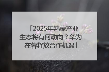 2025年鸿蒙产业生态将有何动向？华为在蓉释放合作机遇