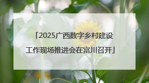 2025广西数字乡村建设工作现场推进会在富川召开