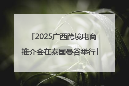 2025广西跨境电商推介会在泰国曼谷举行